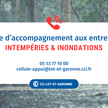 Cellule d’accompagnement aux entreprises  INTEMPéries & INONDATIONS