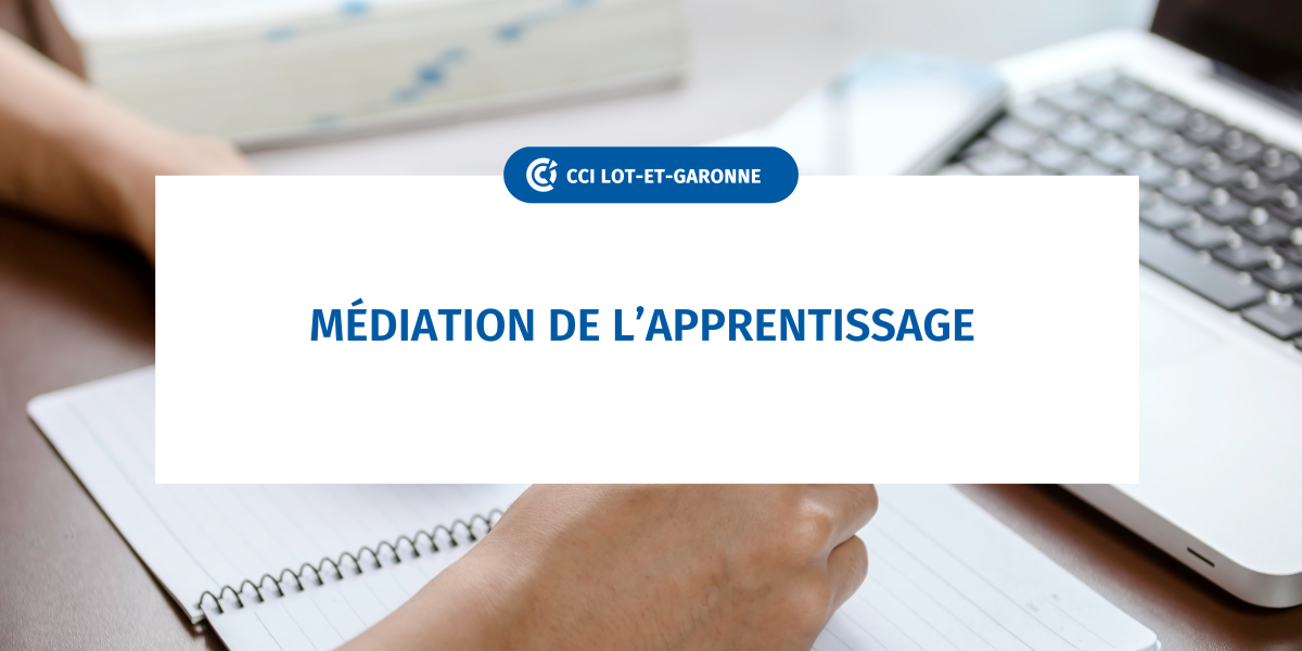 Médiation de l'Apprentissage